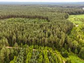 Parduodami trys žemės sklypai Nemenčinės - nuotraukos Nr. 5