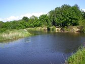 Labai Gražioje Vietoje, Šalia Miesto Centro - nuotraukos Nr. 5