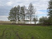Parduodamas 53 arų sklypas prie tvenkinio. - nuotraukos Nr. 5
