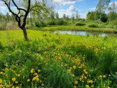 Parduodama išskirtinė sodyba netoli Vilniaus - nuotraukos Nr. 2