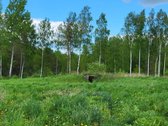 Parduodama išskirtinė sodyba netoli Vilniaus - nuotraukos Nr. 19
