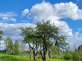 Parduodama išskirtinė sodyba netoli Vilniaus - nuotraukos Nr. 22