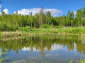 Parduodama išskirtinė sodyba netoli Vilniaus - nuotraukos Nr. 23