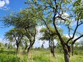 Parduodama išskirtinė sodyba netoli Vilniaus - nuotraukos Nr. 27