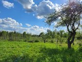 Parduodama išskirtinė sodyba netoli Vilniaus - nuotraukos Nr. 31