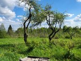 Parduodama išskirtinė sodyba netoli Vilniaus - nuotraukos Nr. 33