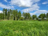Parduodama išskirtinė sodyba netoli Vilniaus - nuotraukos Nr. 37
