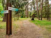 Yra vietų, kurios tiesiog turi aurą. - nuotraukos Nr. 44