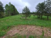 Reta galimybė įsigyti didelį sklypą tik 15 - nuotraukos Nr. 4