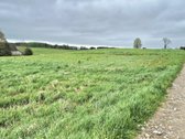Parduodami: namų valdos ir žemės ūkio - nuotraukos Nr. 12