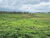 Parduodami: namų valdos ir žemės ūkio - nuotraukos Nr. 14