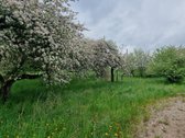 Parduodama Sodyba Ramioje Dzūkijos Vietoje – - nuotraukos Nr. 7