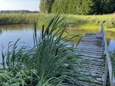 Sodyba Molėtų rajone su atskira pirtimi prie - nuotraukos Nr. 6