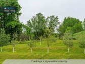 Mėgstate būti gamtoje? Mėgautis pirties bei - nuotraukos Nr. 27