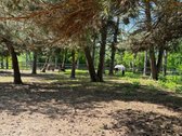 Parduodamas Žirgynas Jonavos Rajone - nuotraukos Nr. 23