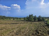 Parduodamas Išskirtinis 19,81 A Sklypas Namo - nuotraukos Nr. 4