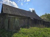 Parduodama sodyba su nuosavu mišku. - nuotraukos Nr. 12
