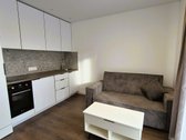 Išnuomojamas Naujai Renovuotame Name Įrengtas - nuotraukos Nr. 3
