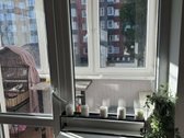 Parduodamas tvarkingas ir prižiūrėtas 4 - nuotraukos Nr. 24