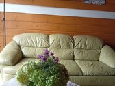 Parduodama Rąstinio Sodo Namo Šalia Miško 1/2 - nuotraukos Nr. 4