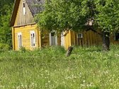 Širvintų r. sav., Pyplių k.
