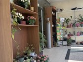  Išnuomojamos Komercinės Patalpos Plungėje – - nuotraukos Nr. 4