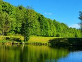 Rojaus kampelis norintiems gyventi gamtoje, - nuotraukos Nr. 3