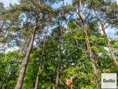  – Nt ekspertai be procentų - nuotraukos Nr. 41