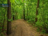 Pro panoraminius langus ir beveik 10 m² - nuotraukos Nr. 29