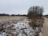 Liko paskutis sklypas - nuotraukos Nr. 7