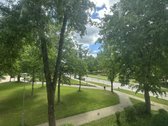 Sveiki , Didžiasalio kaime Ignalinos rajone - nuotraukos Nr. 14