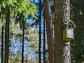 Parduodamas Sodo Namas Su Papildomu Sklypu - nuotraukos Nr. 8