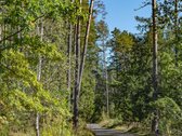 Parduodamas Sodo Namas Su Papildomu Sklypu - nuotraukos Nr. 15