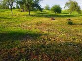 Parduodama jauki sodyba ramioje vietoje, - nuotraukos Nr. 14