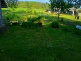Parduodama jauki sodyba ramioje vietoje, - nuotraukos Nr. 17