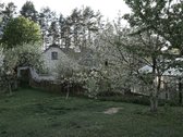 Išskirtinėje Gamtos Apsuptyje, Merkinės - nuotraukos Nr. 7