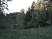 Išskirtinėje Gamtos Apsuptyje, Merkinės - nuotraukos Nr. 12