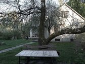 Išskirtinėje Gamtos Apsuptyje, Merkinės - nuotraukos Nr. 9