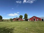 Parduodama erdvi ir tvarkinga sodyba Merkelių - nuotraukos Nr. 20