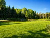 Parduodamas 13,91 a namų valdos sklypas - nuotraukos Nr. 5