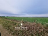 Parduodamas Žū sklypas Leliuose, 3,63 ha
