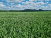Parduodamas vientisas žemės ūkio paskirties - nuotraukos Nr. 2