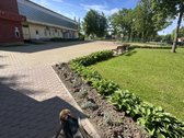 Sveiki , Didžiasalio kaime Ignalinos rajone - nuotraukos Nr. 30