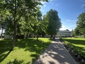 Sveiki , Didžiasalio kaime Ignalinos rajone - nuotraukos Nr. 31
