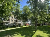 Sveiki , Didžiasalio kaime Ignalinos rajone - nuotraukos Nr. 32