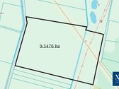 Parduodamas 9.54 ha žemės ūkio paskirties - nuotraukos Nr. 10