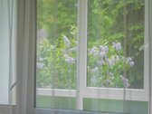 Naujas, Puikus Pasiūlymas Ieškantiems - nuotraukos Nr. 17