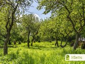 Išskirtinis ką tik užbaigtas A++ klasės namas - nuotraukos Nr. 29