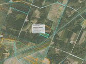 Parduodamas miškų ūkio paskirties sklypas. - nuotraukos Nr. 2