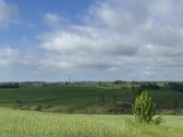 Parduodamas 4,49 ha žemės ūkio paskirties - nuotraukos Nr. 3